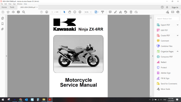 2003 2004 kawasaki ZX600 download service manual