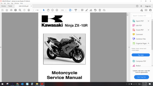 2004 kawasaki ZX10R download service manual