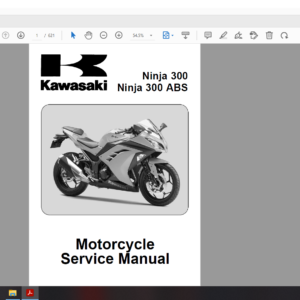 2013 kawasaki EX300 download service manual
