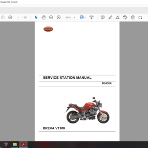 2008 2009 moto guzzi BREVA V1100 download service manual