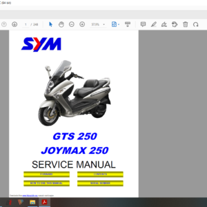 2010 sym JOYMAX 250 gts 250 download service manual PDF